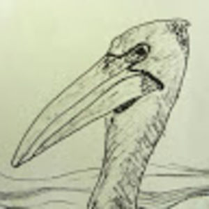 Meet your Posher, Tanya